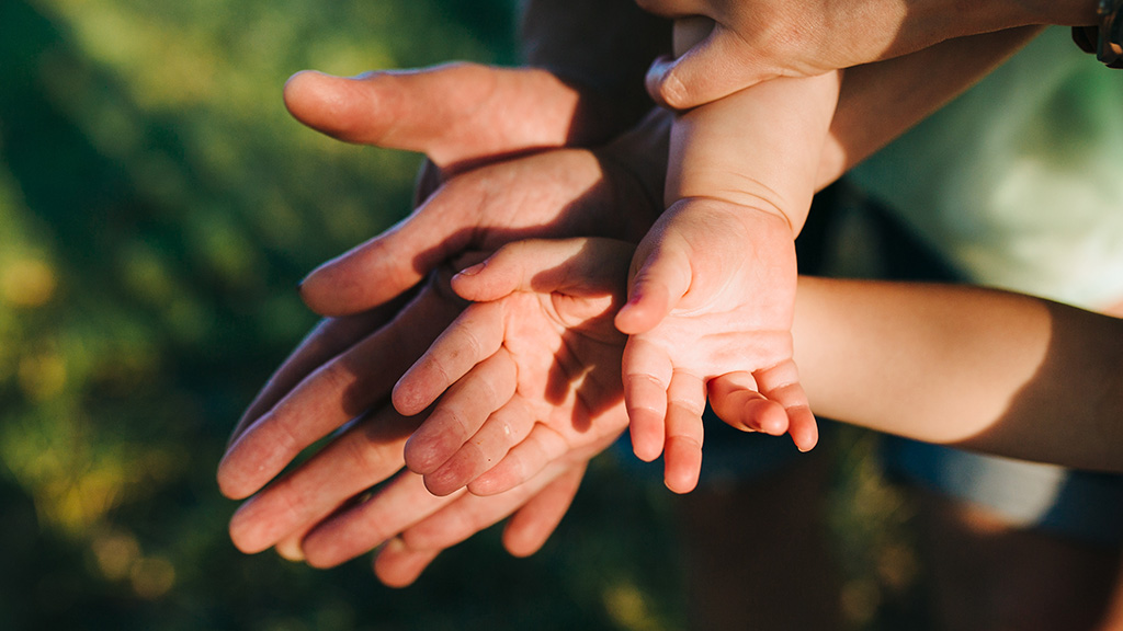 Severe Weather: Families, Employers, and IPSS can access Social Security and IEFP support